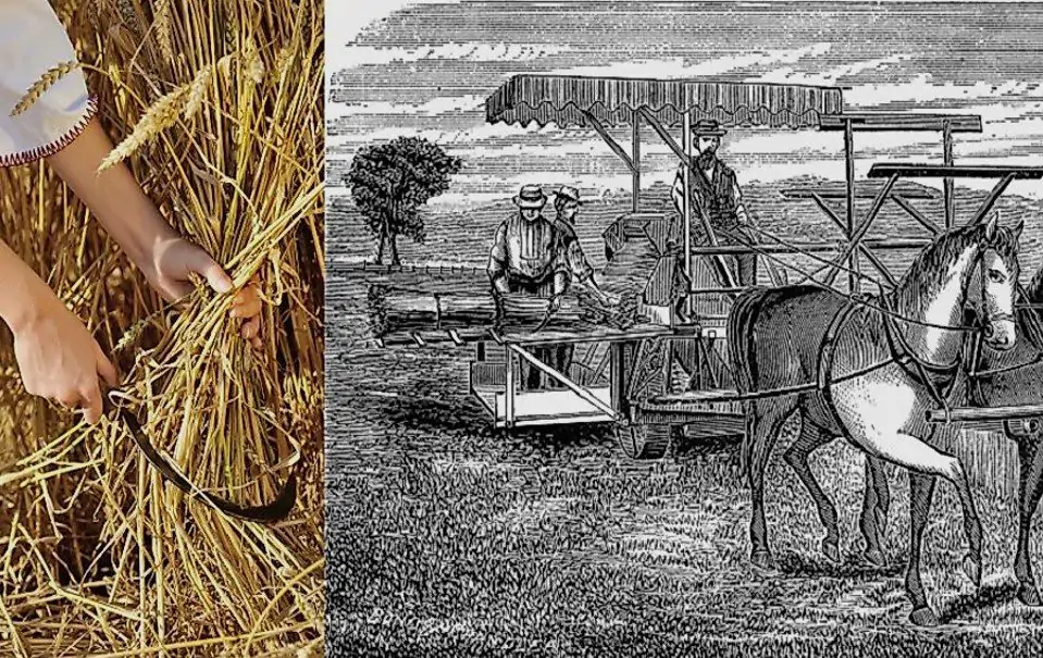 Scottish Agricultural Revolution