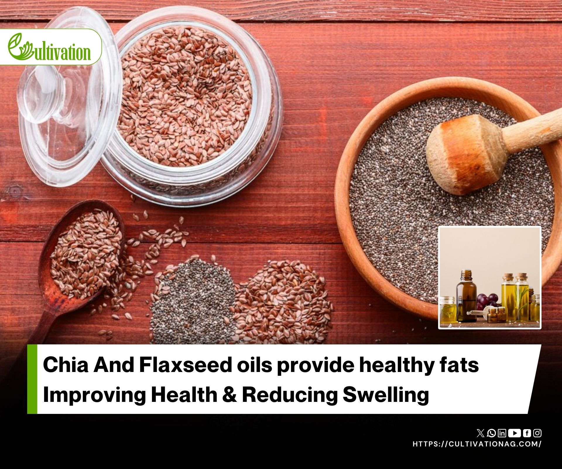 Preserving Omega-3 Oils with Antioxidants from Chia & Flaxseed